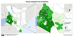 images\KE\seasonalmap\Kenya_LR_Corn_preview.png